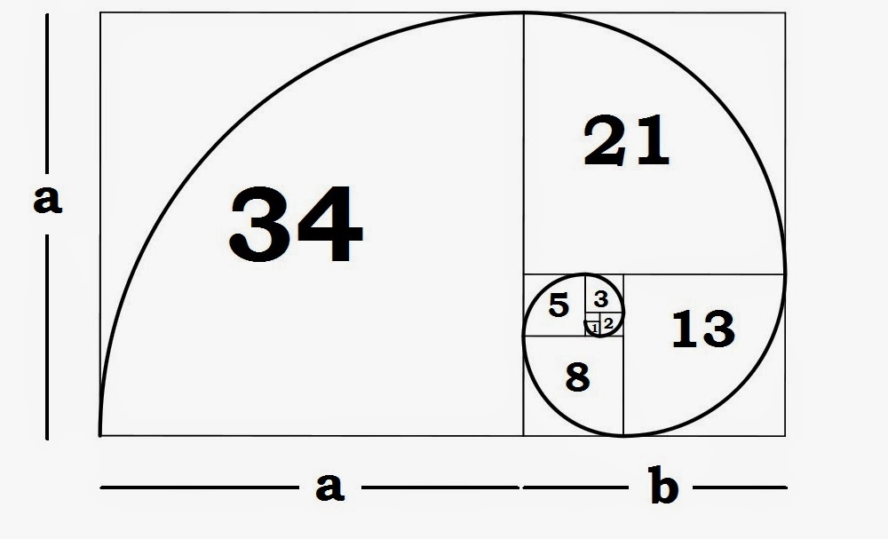 Understanding the Fibonacci Sequence and Golden Ratio